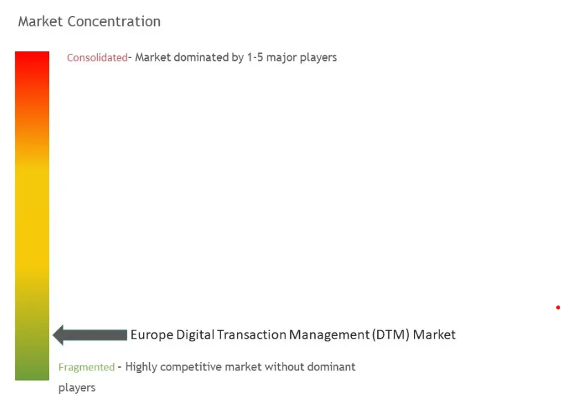 Europe Digital Transaction Management (DTM) Market Concentration